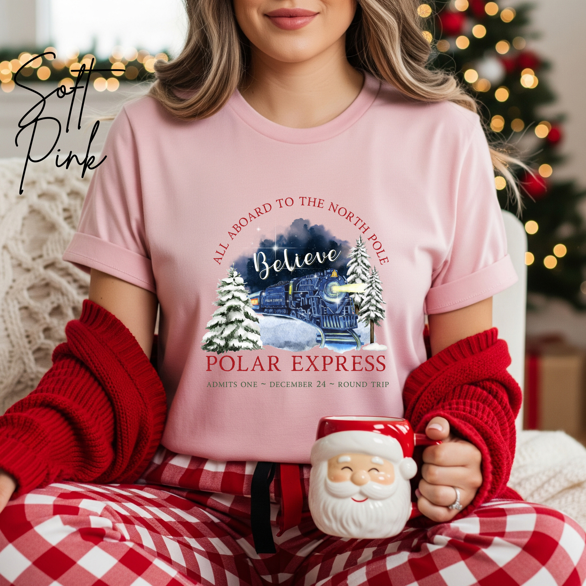 Polar Express Christmas Bella Canvas 3001 Tshirt