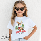 🦌🎄 Kids "Oh Deer Christmas is Here" Vintage Snowy Deer Bella Canvas 3001Y Tee